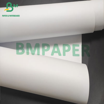 rotolo della carta di tracciatore di larghezza di 610mm 620mm per la carta di ingegneria di cad
