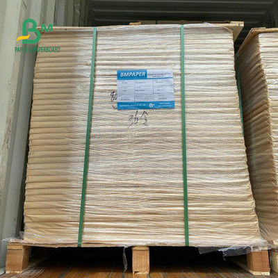 Di C2S di 18PT 24PT di carte patinate 20 x 26 pollici di superficie brillanti su misura