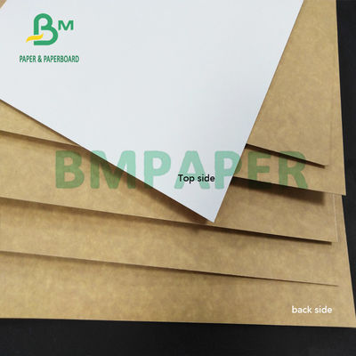 resistente di umidità di 325gsm CCK Rivestito in argilla Kraft Back Paper per i contenitori di cartone di piegatura