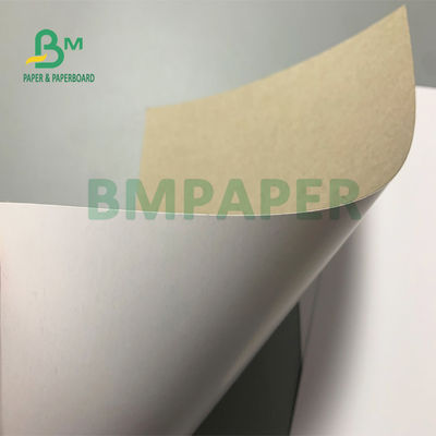 cima bianca Grey Back di Claycoated del bordo duplex rivestito di superficie regolare di 300g 350g