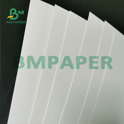 Un commestibile impermeabile del congelatore della carta dello strato rivestito bianco laterale del rotolo 295g per pane