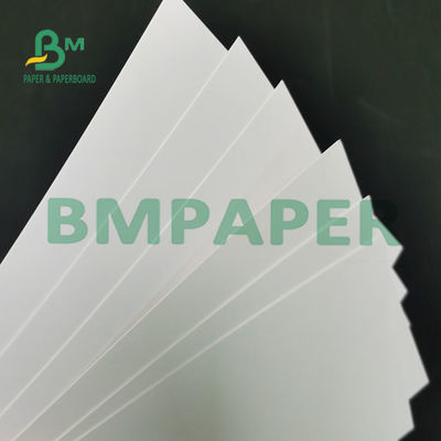 Un commestibile impermeabile del congelatore della carta dello strato rivestito bianco laterale del rotolo 295g per pane