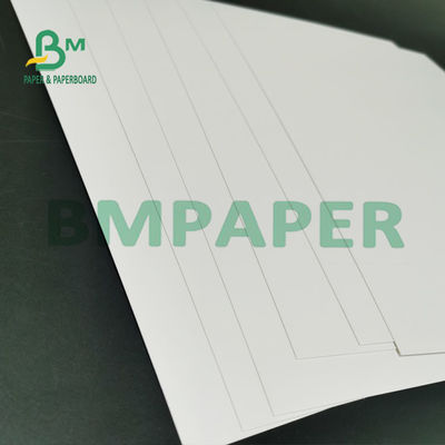 Un commestibile impermeabile del congelatore della carta dello strato rivestito bianco laterale del rotolo 295g per pane