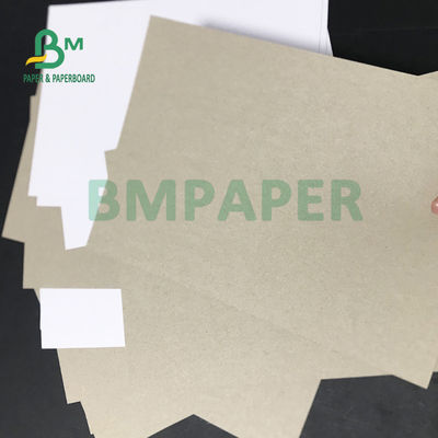 Bordo riciclato Grey Back Paper 230gsm 250gsm del contenitore di polpa C1S per l'imballaggio della medicina