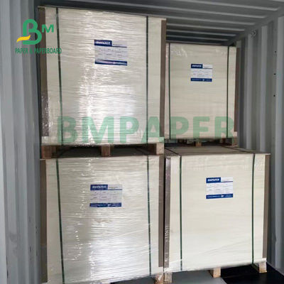 resistenza piegante del cartone delle azione della tazza di 15gsm + di 135gsm Polycoated