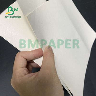 Commestibile impermeabile rivestito del cartone delle azione della tazza del PE 150gsm + 13gsm