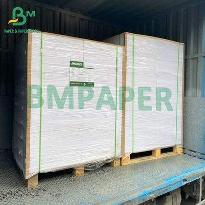 rotolo rivestito bianco della carta del congelatore 215gsm per l'imballaggio del contenitore di alimento
