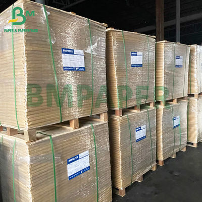 rotolo rivestito bianco della carta del congelatore 215gsm per l'imballaggio del contenitore di alimento