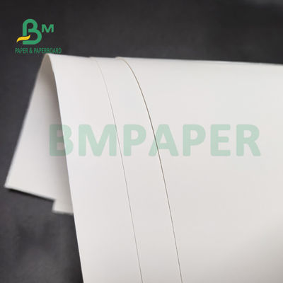 Parte posteriore bianca laterale 350gsm 36" del rotolo 1 di carta FBB del congelatore della polpa del vergine X 48" per il pacchetto di sanità