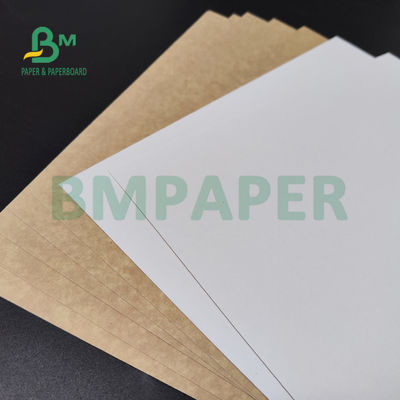 250gsm 300gsm C1S Kraft indietro ha ricoperto il bordo duplex per la cassaforte dell'alimento del contenitore di insalata