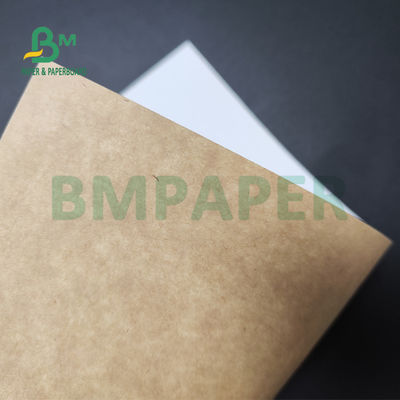 250gsm 300gsm C1S Kraft indietro ha ricoperto il bordo duplex per la cassaforte dell'alimento del contenitore di insalata