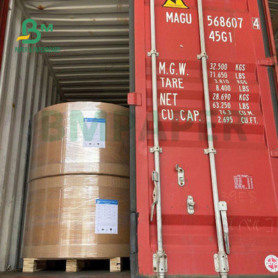 250gsm 300gsm C1S Kraft indietro ha ricoperto il bordo duplex per la cassaforte dell'alimento del contenitore di insalata