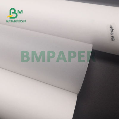 rotolo bianco traslucido della carta da ricalco 80gsm per la pittura 20" di schizzo x 50yards