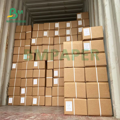 80gsm singola carta di modello laterale di 100m x di 440mm per il dipinto di progettazione