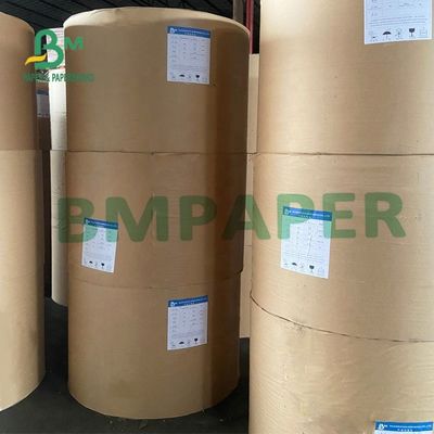 carta sintetica non Tearable Matte Surface For Maps di 180um pp