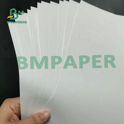 carta sintetica non Tearable Matte Surface For Maps di 180um pp
