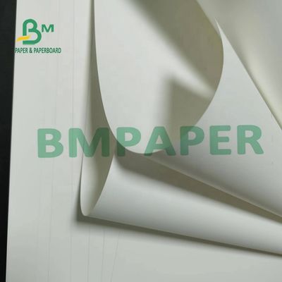 carta sintetica non Tearable Matte Surface For Maps di 180um pp