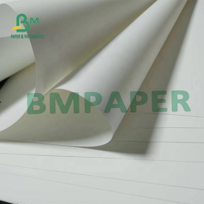 carta sintetica non Tearable Matte Surface For Maps di 180um pp