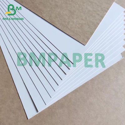 Parte posteriore rivestita bianca 325gsm di carta di Kraft del bordo del cartone piegante dell'alimento