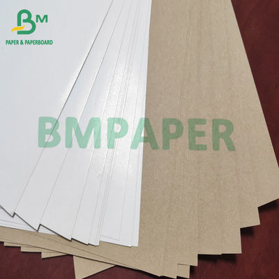Carta bianca 140g - 200g di Rivestito in argilla Kraft Liner Board della cima per il contenitore di cartone