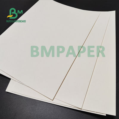 il PE di 210gsm +15g ha laminato il cartone per il commestibile delle tazze di carta 882mm