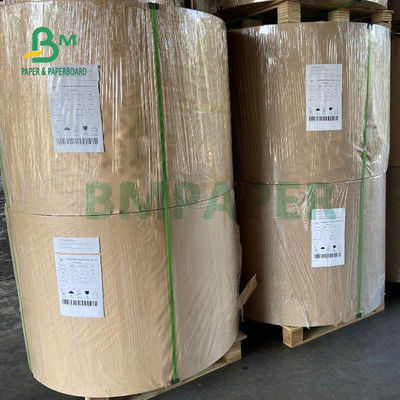 il PE di 210gsm +15g ha laminato il cartone per il commestibile delle tazze di carta 882mm