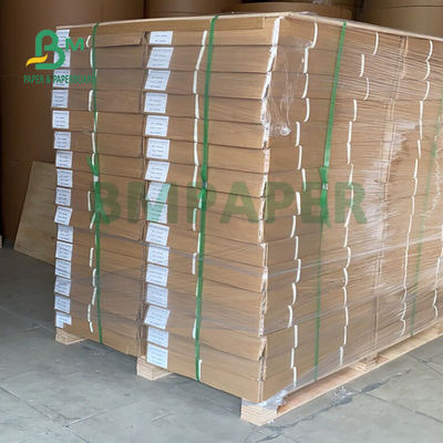 24&quot; rotolo della carta di tracciatore del modello del X.500 Ft per cad che stampa 80gsm