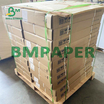 Stampatore termico Paper Rolls BPA della ricevuta da 55 GSM libero per la posizione