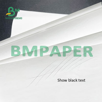 Stampatore termico Paper Rolls BPA della ricevuta da 55 GSM libero per la posizione