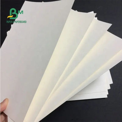 230g ha ricoperto la carta impermeabile materiale del polietilene delle azione della tazza del PE per le tazze di carta