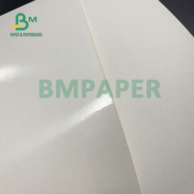 PE 135gsm + 18gsm un cassaforte &amp; contatto rivestiti della carta della tazza del lato con alimento