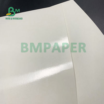 Lucentezza di carta e Matt Finish della tazza rivestita del PE del commestibile 135gsm+10gsm