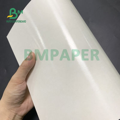 Lucentezza di carta e Matt Finish della tazza rivestita del PE del commestibile 135gsm+10gsm