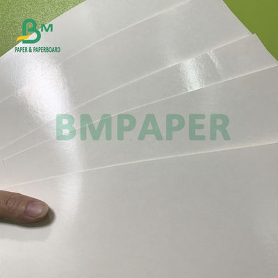 Lucentezza di carta e Matt Finish della tazza rivestita del PE del commestibile 135gsm+10gsm