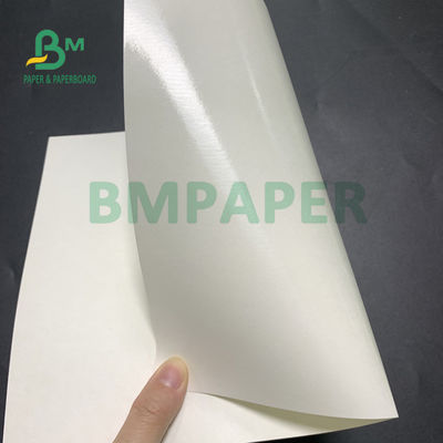 carta bassa della tazza rivestita di polietilene 135gsm + 20gsm per la ciotola di minestra