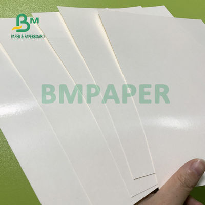 carta bassa della tazza rivestita di polietilene 135gsm + 20gsm per la ciotola di minestra