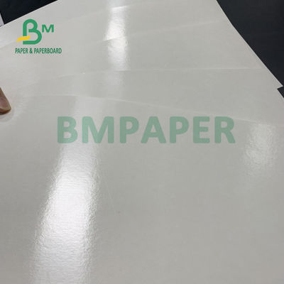 carta bassa della tazza rivestita sicura del PE dell'alimento 150gsm + 10gsm per bere