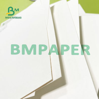 carta altamente assorbente a 11,8 pollici della carta assorbente di 8,26 x per la pressatura dei fiori