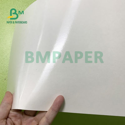 il singolo PE laterale 180gsm + 18gsm ha ricoperto gli strati della carta della tazza impermeabilizza