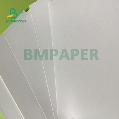 il singolo PE laterale 180gsm + 18gsm ha ricoperto gli strati della carta della tazza impermeabilizza