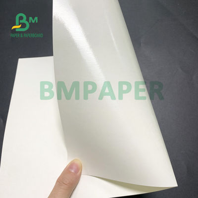 forza ad alta resistenza di carta della tazza rivestita del PE del lato del doppio 210gsm+20gsm