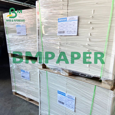 240 un cartone da 250 GSM Polycoated Cupstock per i vassoi asciutti dell'alimento