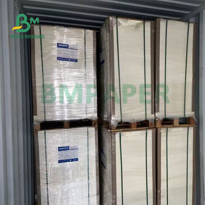 il PE della durevolezza 230gsm+15gsm ha ricoperto la carta delle azione della tazza per le ciotole di minestra 560mm x 700mm