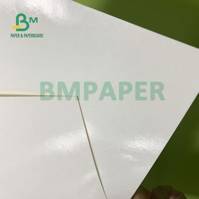il PE della durevolezza 230gsm+15gsm ha ricoperto la carta delle azione della tazza per le ciotole di minestra 560mm x 700mm