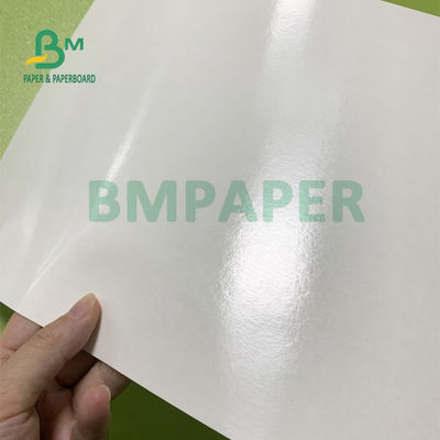 il PE della durevolezza 230gsm+15gsm ha ricoperto la carta delle azione della tazza per le ciotole di minestra 560mm x 700mm