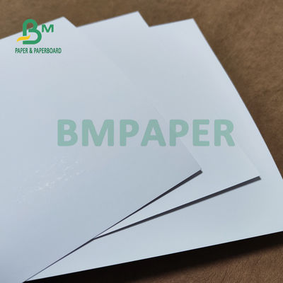 rigidezza opaca di 80# 100# C2S Art Paper For Company Manual 28 x 40inch buona