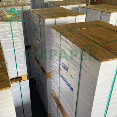 rigidezza opaca di 80# 100# C2S Art Paper For Company Manual 28 x 40inch buona