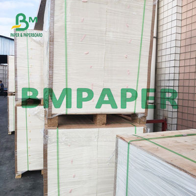 avorio Boared della copertura di indice di C1S di 110lb 23x36» 25x37» per gli opuscoli