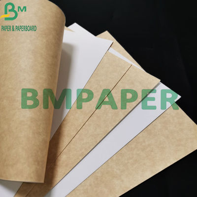 il commestibile 300gsm ha ricoperto la carta kraft bianca di Brown indietro per il contenitore di alimento