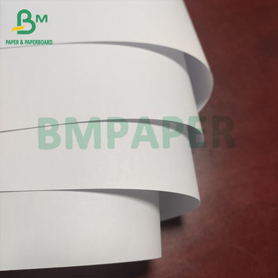 Carta per stampa offset e carta da lettere non patinata senza legno da 55 gsm